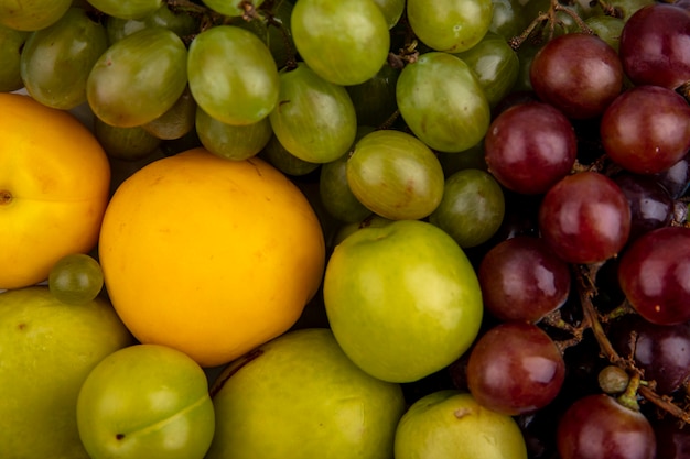 Vista ravvicinata di frutti come pluots nectacots prugne e uva per usi in background
