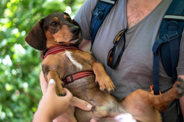 Vista ravvicinata di un uomo che tiene un cane tra le braccia