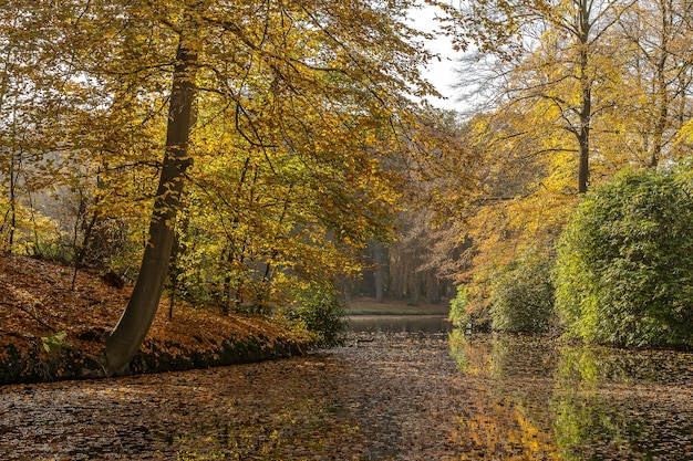 Vista rilassante su un lago circondato da un terreno ricco di alberi ed erba