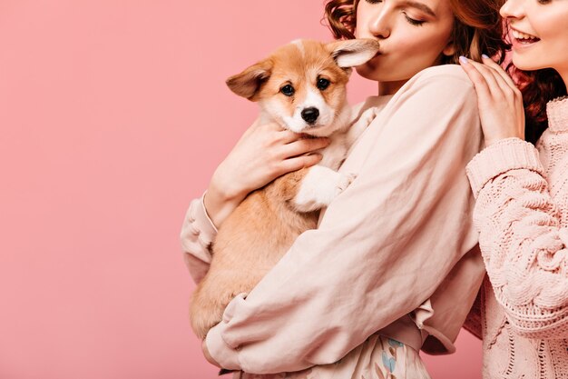 Vista ritagliata di due ragazze che tengono cane. Colpo parziale di donne affascinanti in posa con cucciolo su sfondo rosa.