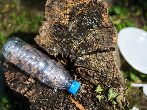 Vista sopraelevata della bottiglia di acqua di plastica vuota sul ceppo di albero