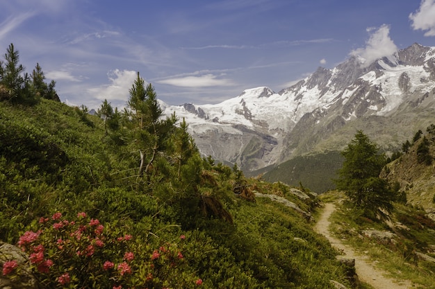 Vista strabiliante di una traccia verde con le montagne nevose in Saas-Grund, Svizzera