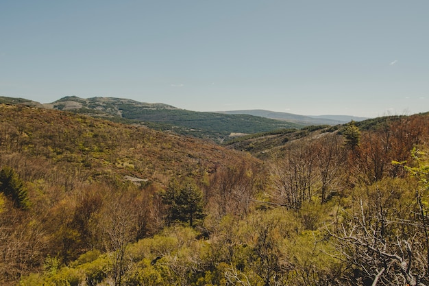 Vista sul paesaggio collinare