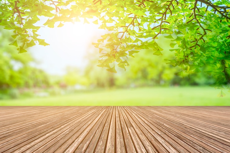 Foto gratuito vista sul parco verde