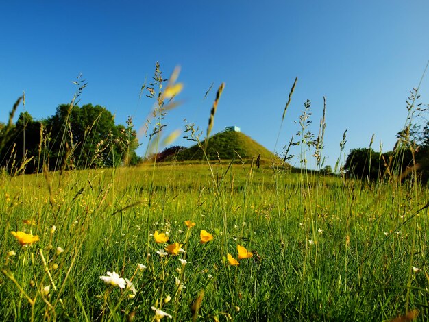 Vista sulla piramide di terra