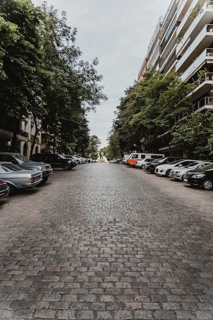 Vista sulla strada della città con auto e alberi