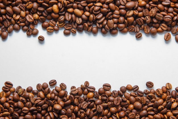 Vista superiore dei chicchi di caffè su uno spazio bianco del fondo per testo