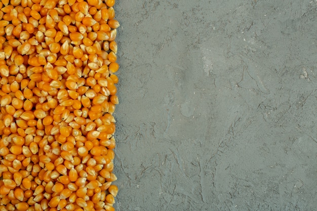 Vista superiore dei semi secchi del cereale con lo spazio della copia su gray