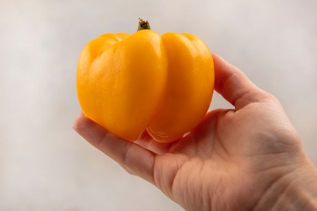 Vista superiore della mano femminile che tiene un peperone dolce giallo fresco su una superficie bianca