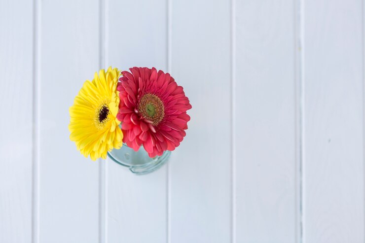 Foto gratuito vista superiore della superficie con due fiori e spazio vuoto