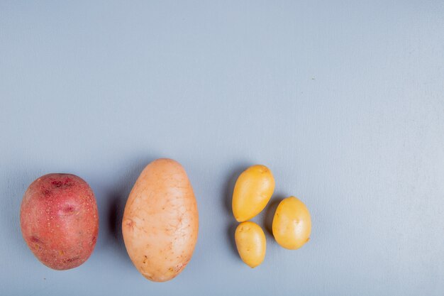 Vista superiore delle patate come bianco rosso e nuovo su superficie blu con lo spazio della copia