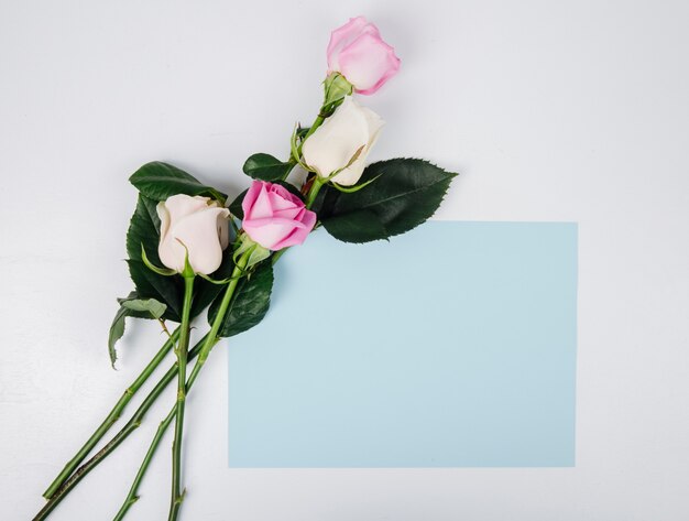 Vista superiore delle rose rosa e bianche di colore con lo strato di carta di colore blu isolato su fondo bianco con lo spazio della copia