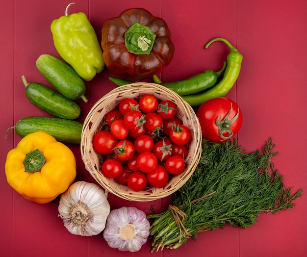 Vista superiore delle verdure come merce nel carrello dei pomodori con l'aneto dell'aglio del pepe su superficie rossa