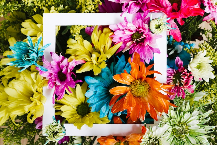Foto gratuito vista superiore margherite colorate con cornice