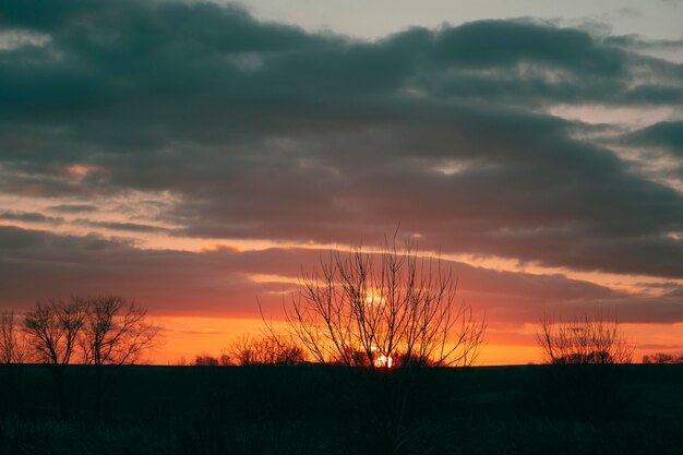 Vista tranquilla della luce del tramonto