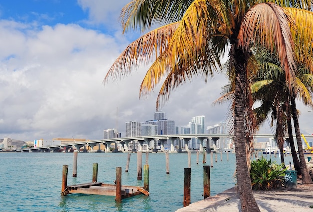Vista tropicale della città di Miami sul mare dal molo durante il giorno con cielo blu e nuvole.