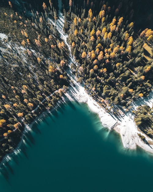 Vista verticale ad alto angolo di un lago, whitr = e riva e foresta