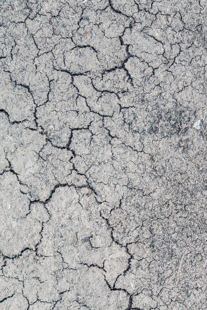 Vista verticale del primo piano dell'angolo alto della terra grigia incrinata