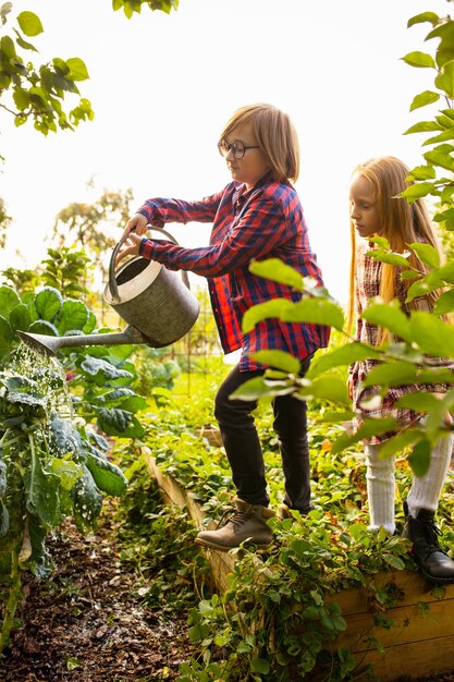 Vitamine. Felice fratello e sorella che raccolgono le mele in un giardino all'aperto insieme.