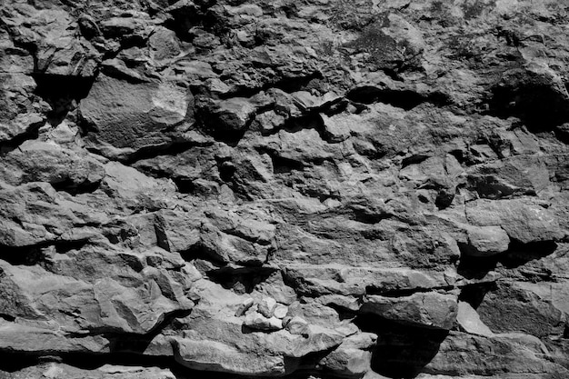 volto in bianco e nero della roccia