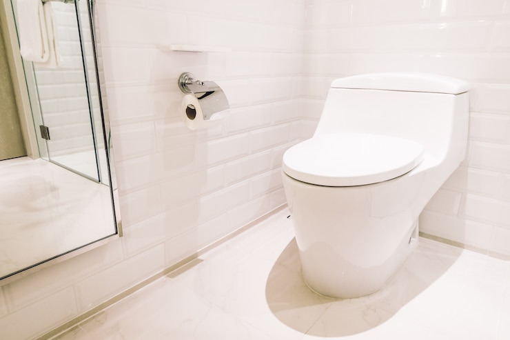 Foto gratuito wc sanitario igiene verde bianco