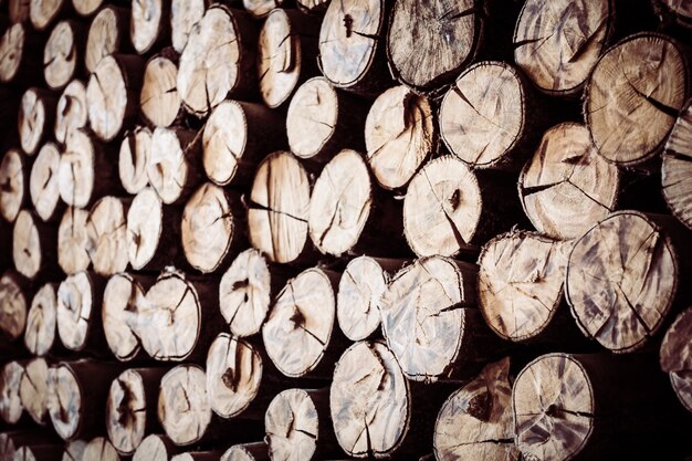 woodpile tronchi accatastati mucchio d&#39;epoca
