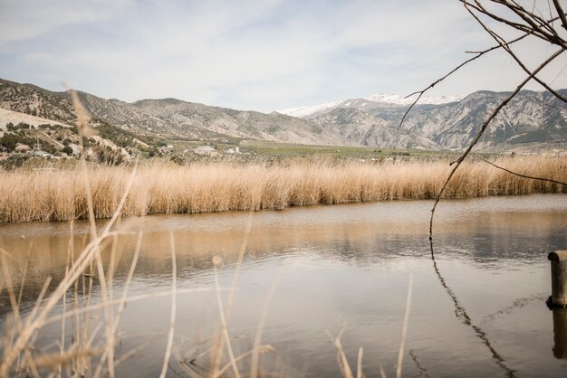 Zone umide con vegetazione di palude in Mammoth Route a Padul, Granada, Andalusia, Spagna