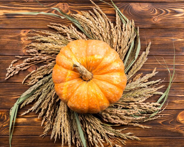 Zucca vista dall'alto su sfondo di grano