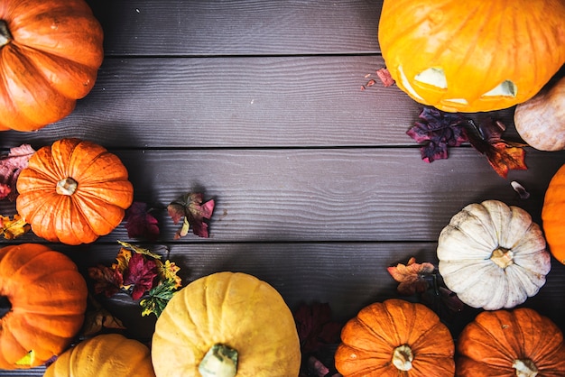 Zucche di Halloween su fondo in legno