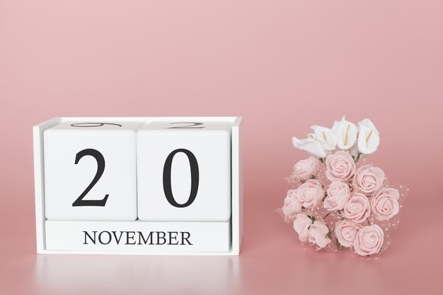 20 novembre calendario cubo sul muro rosa