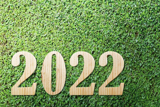 2022 sull'erba verde. Felice Anno Nuovo 2022