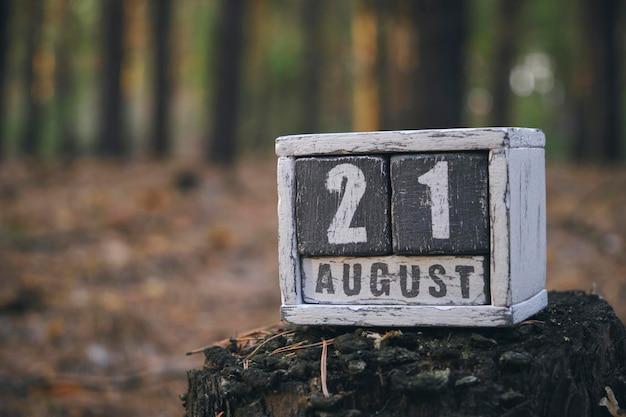 21 agosto mese estivo calendario in legno con data e mese nella foresta