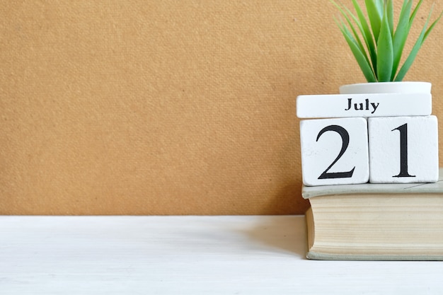 21 luglio - ventunesimo giorno mese calendario concetto su blocchi di legno.