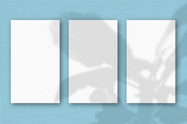 3 fogli verticali di carta bianca testurizzata su uno sfondo di tavolo verde blu morbido. Mockup con una sovrapposizione di ombre di piante. La luce naturale proietta ombre dall'albero della felicità. Orientamento orizzontale.