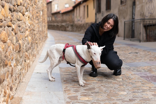30s donna spagnola che accarezza il suo anziano pitbull terrier con un muro di pietra sullo sfondo