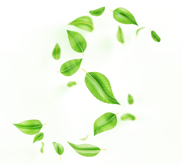 3d astratto foglie verdi vortice linea d'onda effetto di vento a spirale isolato su sfondo bianco flusso di menta fresca o fogliame di tè foglia di erbe che cade e vola in aria render elemento di progettazione