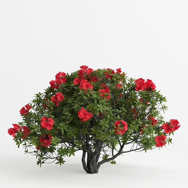3d illustrazione del cespuglio di rododendro con fiore rosso isolato su sfondo bianco