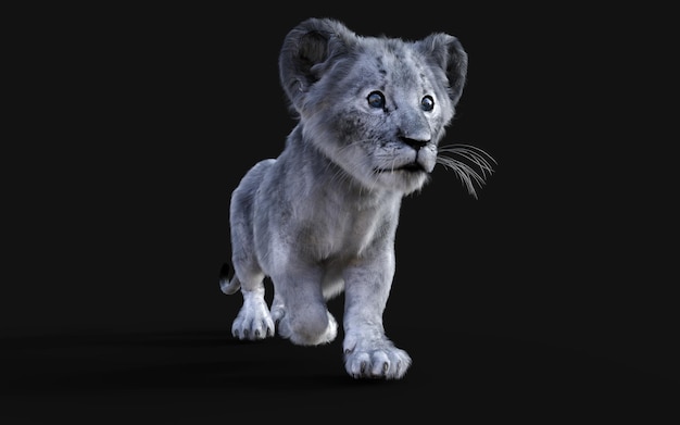 3d'illustrazione Ritratto di White Little Lion Cub isolato su sfondo scuro