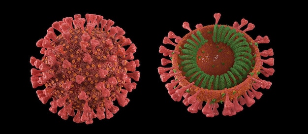 3d rende il coronavirus rosso su sfondo nero