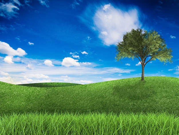 3D rendering campo verde e cielo blu con albero