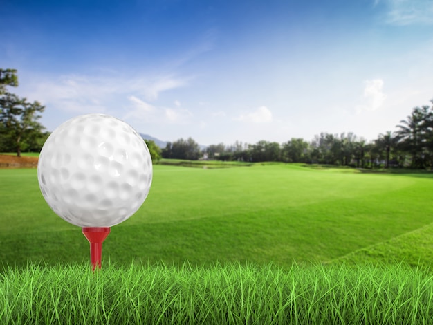 3D rendering pallina da golf sulla vista laterale a T