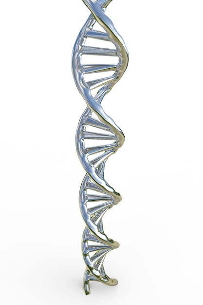 3D rendering struttura dna argento su sfondo bianco