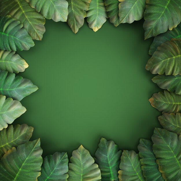 3d rendono, foglie tropicali, alocasia, fondo verde