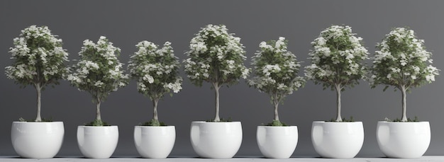 3D reso albero vaso di fiori bianchi in una riga perfetto per la decorazione domestica