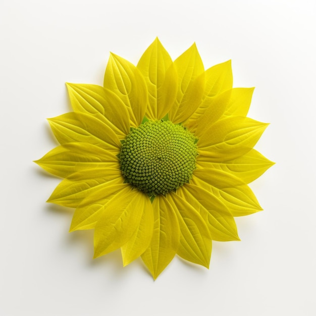 3d Sunflower Flower On White Background Ritratti minimalisti ispirati alla natura