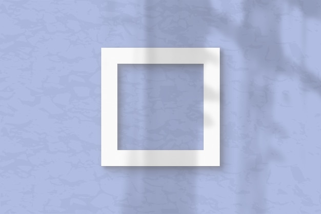 3Un foglio quadrato di carta ruvida bianca su uno sfondo di parete blu. Layout con una sovrapposizione di ombre delle piante La luce naturale proietta le ombre dalla finestra. Disposizione piana, vista dall'alto. Orientamento orizzontale