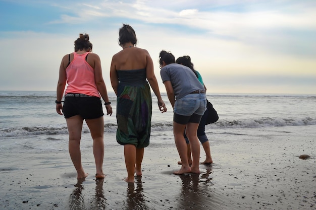 4 donne cercano pietre conchiglie emerita analoga sulla riva di una spiaggia al tramonto