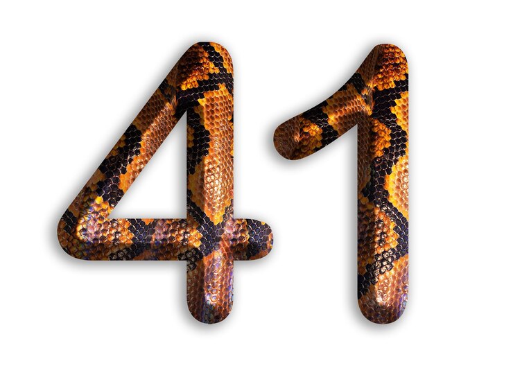 Foto 41 forma di numero con motivo di pelle di serpente design pelle di pitone