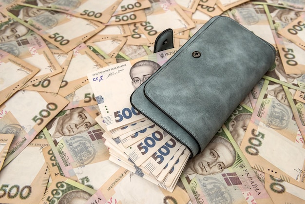 500 grivna ucraina nel portafoglio. Salva il concetto