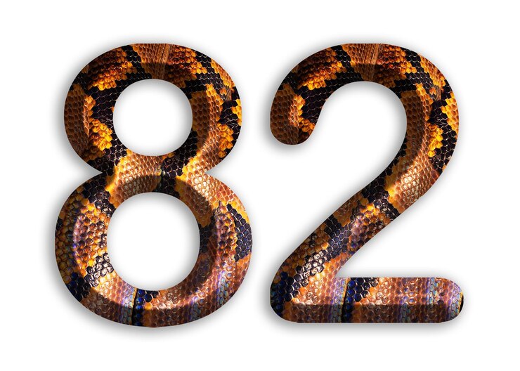 Foto 82 forma numerica con motivo di pelle di serpente design pelle di pitone